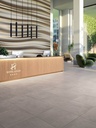 SERENITE TAUPE - CARREAUX SOL 45X45 CTN DE 6 PIECES SOIT 1.25M²