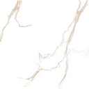 1151 - CAR 60x60 CARTONS DE 4 PIECES SOIT:1,44m² (19.92€ m²). Prix du Carton 28.68€