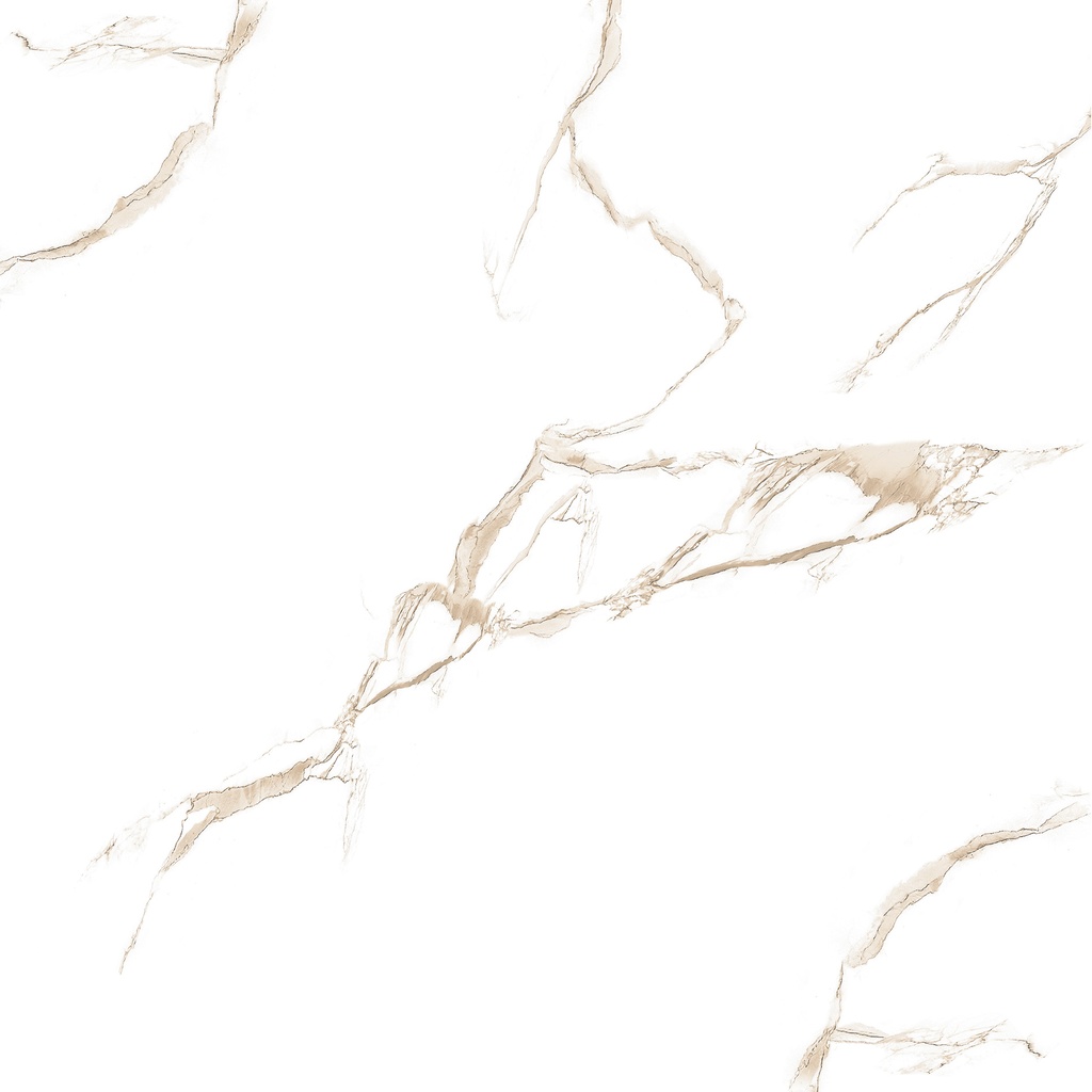 1151 - CAR 60x60 CARTONS DE 4 PIECES SOIT:1,44m² (19.92€ m²). Prix du Carton 28.68€