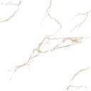 1151 - CAR 60x60 CARTONS DE 4 PIECES SOIT:1,44m² (19.92€ m²). Prix du Carton 28.68€
