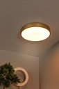 UNAR - Plafonnier - Ø 39,5 cm - LED 3 StepDim - 1x24W 2700K - Or Mat / Laiton