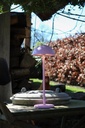 JOY - Lampe de table Rechargeable Intérieur/Extérieur - Batterie/Piles - Ø 12 cm - LED Dim. - 1x1,5W 3000K - IP54 - Rose