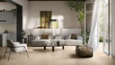 Serenite Sable Carrelage sol/mur intérieur effet béton gris clair New design l.60 x L.60 cm CTN DE 3 PIECES SOIT 1.11M²
