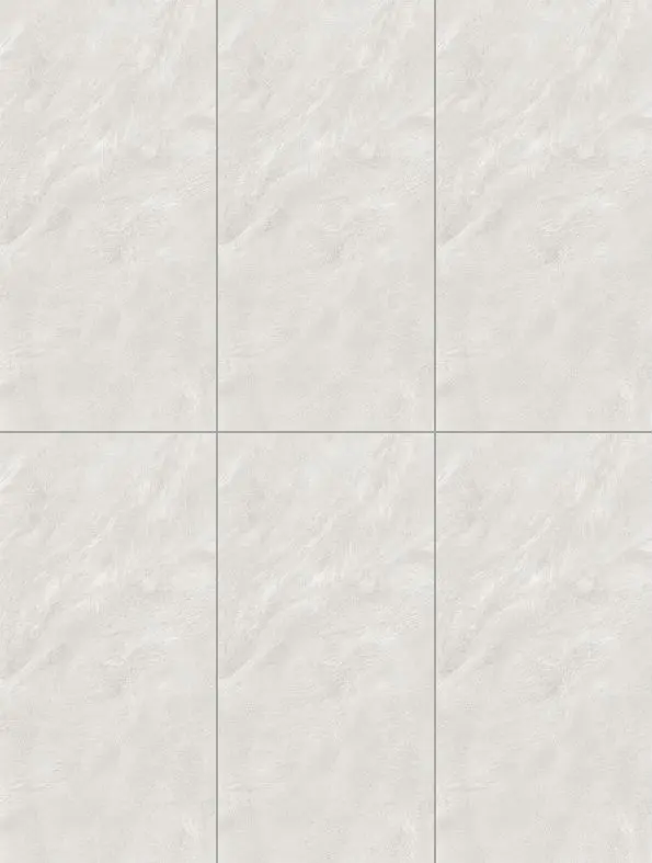 artic silv X9.2.webp