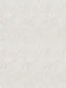 artic silv X9.2.webp