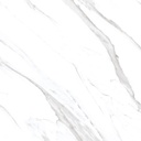 1058 CAR 60x60 CARTONS DE 4 PIECES SOIT:1,44m² (24.90€ m²). Prix du Carton 35.86 - 