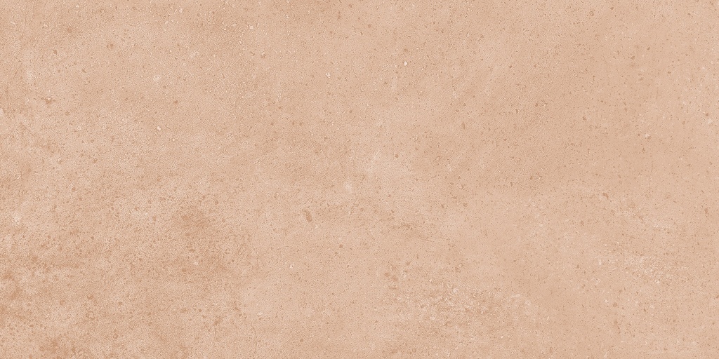 26303D FAIENCES 30X60 CARTONS DE 5PIECES SOIT 0,90M² (21.90€ M²) PRIX EN CARTON 19.71€