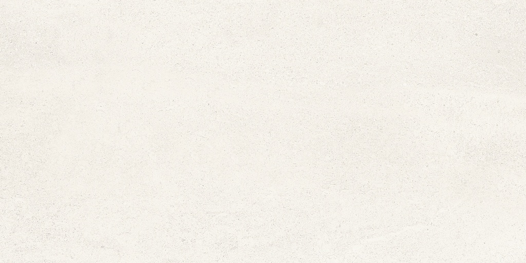 26294L FAIENCES 30X60 CARTONS DE 5PIECES SOIT 0,90M² (21.90€ M²) PRIX EN CARTON 19.71€