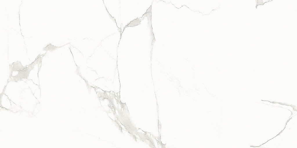 26295L FAIENCES 30X60 CARTONS DE 5PIECES SOIT 0,90M² (21.90€ M²) PRIX EN CARTON 19.71€