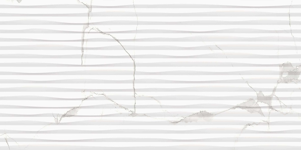 26295HL FAIENCES 30X60 CARTONS DE 5PIECES SOIT 0,90M² (21.90€ M²) PRIX EN CARTON 19.71€