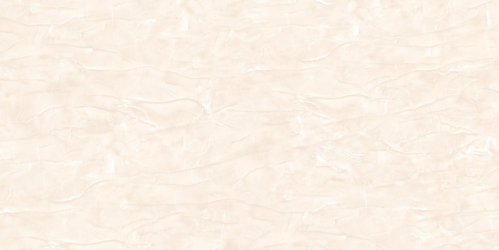 FLAMINGO CAR 60X120 CARTONS DE 2 PIECES SOIT 1.44M²