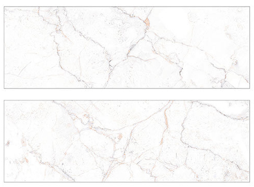 6004L FAIENCES 20X60 CARTONS DE 6 PIECES SOIT 0,72M²   *  16,90€ LE M²  *  PRIX CARTONS 12,17€ *