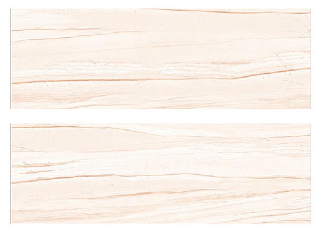 6020L FAIENCES 20X60 CARTONS DE 6 PIECES SOIT 0,72M²   *  16,90€ LE M²  *  PRIX CARTONS 12,17€ *