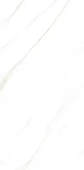 1058 CAR 60X120 CARTONS DE 2 PIECES SOIT 1.44M²