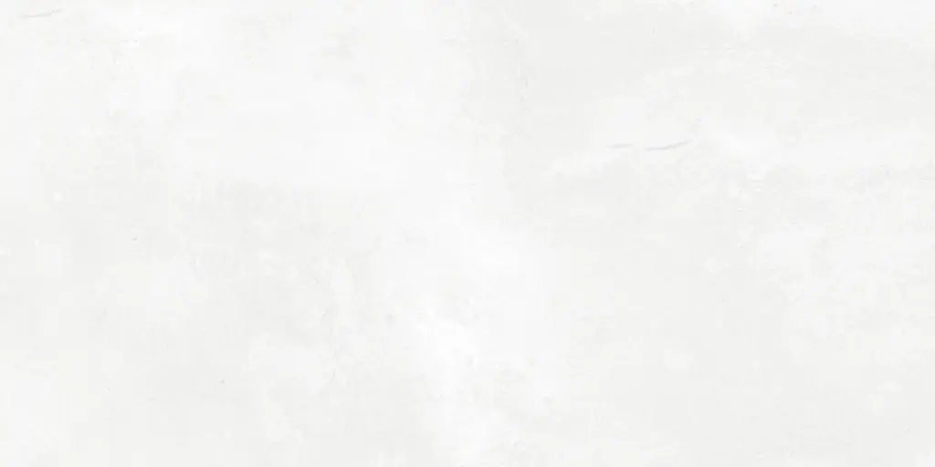 2133LT CAR 30X60 CARTONS DE 5 PIECES SOIT 0.90 M²