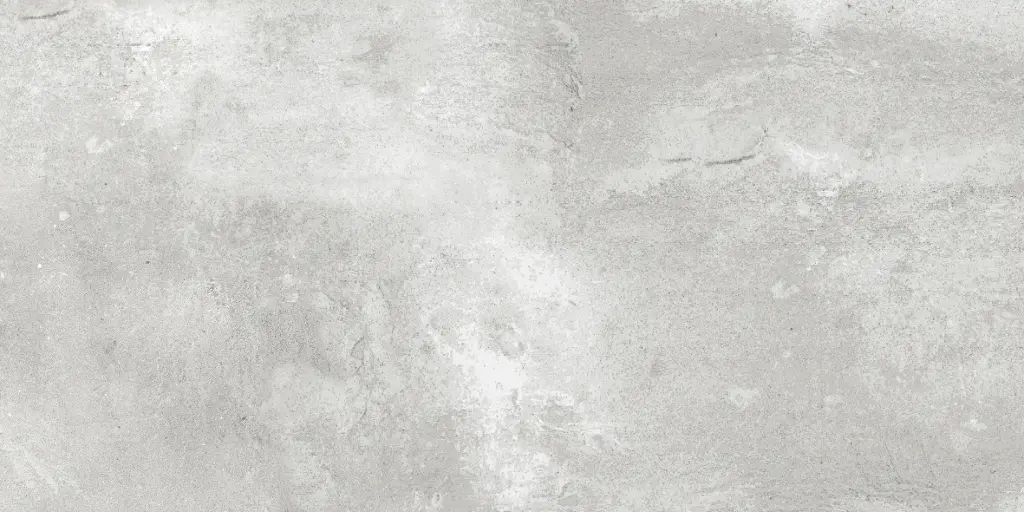 2133DK CAR 30X60 CARTONS DE 5 PIECES SOIT 0.90M²  BOLé 1B3 (198 cts)
