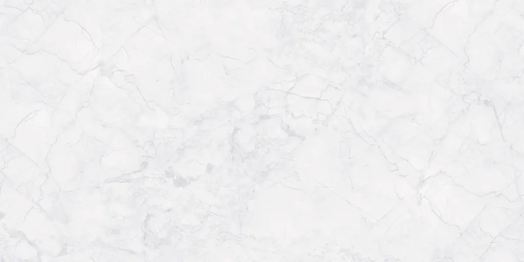 130L CAR 30X60 CARTONS DE 5 PIECES SOIT 0.90M²