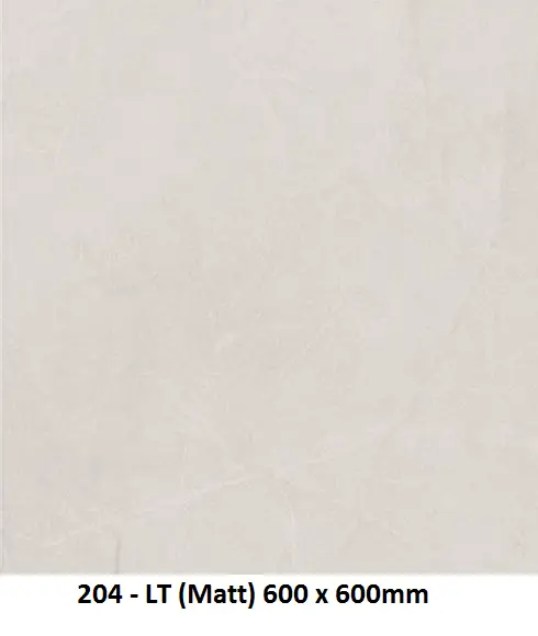 204-LT CARRELAGE 60X60 SOL ET MUR CARTONS DE 4 PIECES SOIT:1,44m² (29,90€ m²). Prix du Carton 43,06€