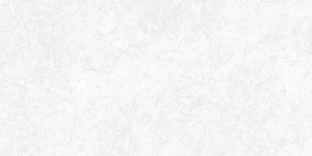10017L FAIENCES 30X60 CARTONS DE 5PIECES SOIT 0,90M² (21.90€ M²) PRIX EN CARTON 19.71€ TRB 2B17