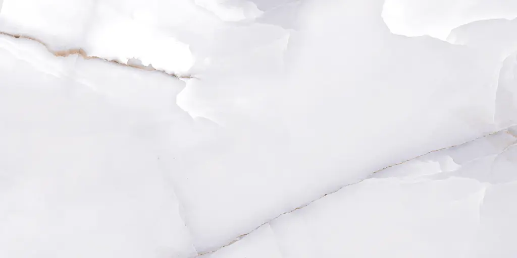 10018L FAIENCES 30X60 CARTONS DE 5PIECES SOIT 0,90M² (21.90€ M²) PRIX EN CARTON 19.71€