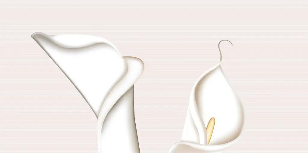 1227HL1 FAIENCES 30X60 CARTONS DE 5PIECES SOIT 0,90M² (21.90€ M²) PRIX EN CARTON 19.71€