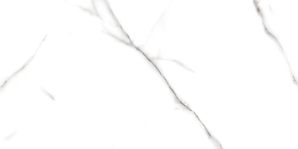 1021L FAIENCES 30X60 CARTONS DE 5PIECES SOIT 0,90M² (21.90€ M²) PRIX EN CARTON 19.71€