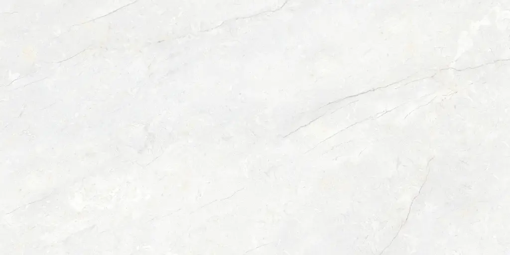 2033L FAIENCES 30X60 CARTONS DE 5PIECES SOIT 0,90M² (21.90€ M²) PRIX EN CARTON 19.71€