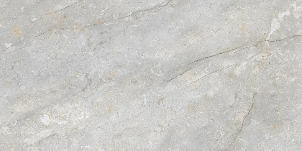 2033D FAIENCES 30X60 CARTONS DE 5PIECES SOIT 0,90M² (21.90€ M²) PRIX EN CARTON 19.71€