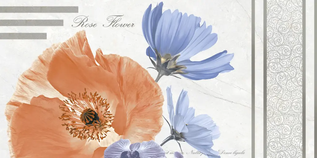 2033 HL1A FAIENCES 30X60 CARTONS DE 5PIECES SOIT 0,90M² (21.90€ M²) PRIX EN CARTON 19.71€