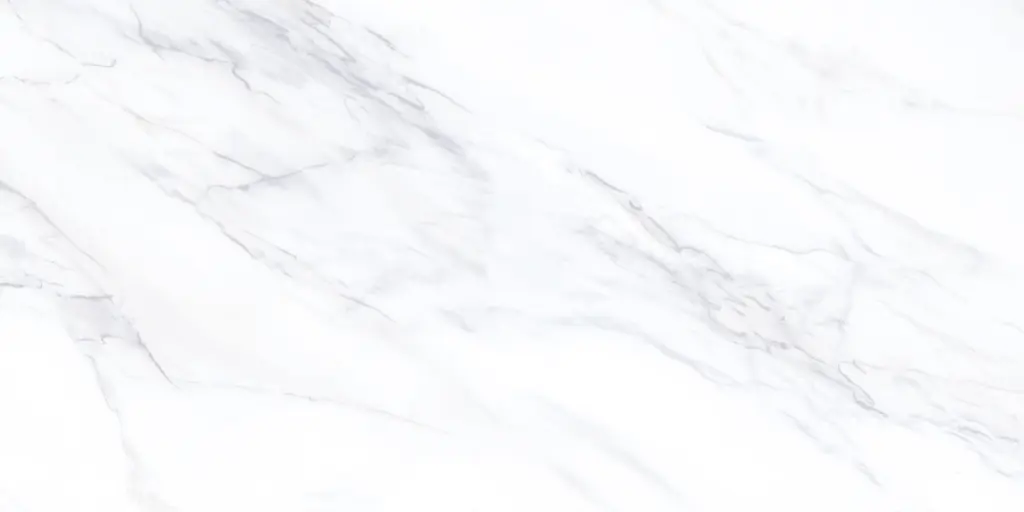 829L FAIENCES 30X60 CARTONS DE 5PIECES SOIT 0,90M² (21.90€ M²) PRIX EN CARTON 19.71€