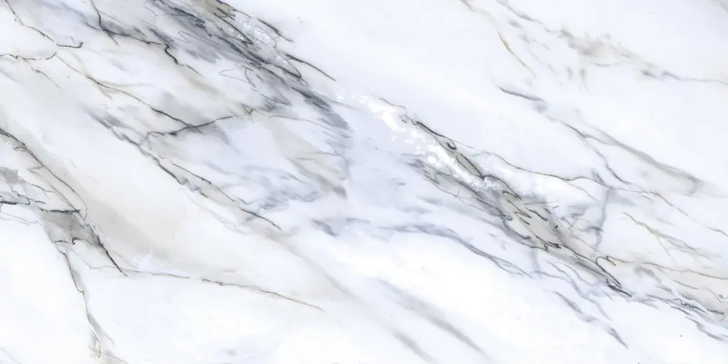 829D FAIENCES 30X60 CARTONS DE 5PIECES SOIT 0,90M² (21.90€ M²) PRIX EN CARTON 19.71€