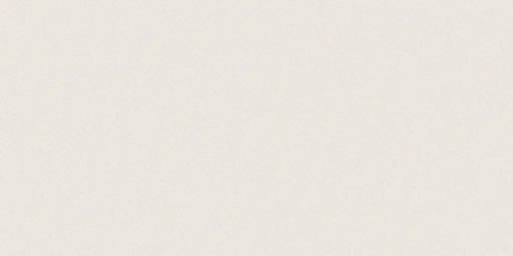 10052L FAIENCES 30X60 CARTONS DE 5PIECES SOIT 0,90M² (21.90€ M²) PRIX EN CARTON 19.71€