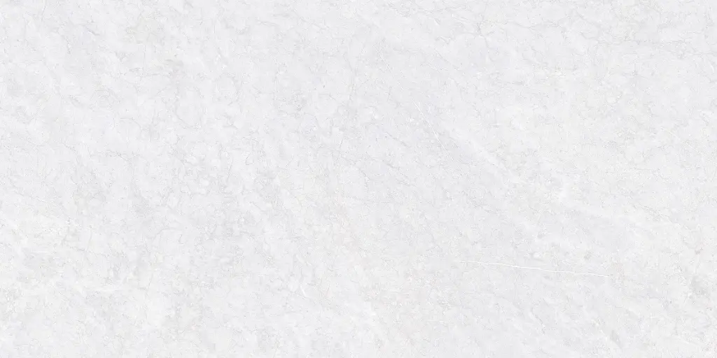 10042L FAIENCES 30X60 CARTONS DE 5PIECES SOIT 0,90M² (21.90€ M²) PRIX EN CARTON 19.71€