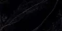 AVENUE BLACK CAR:60X120 CARTONS DE 2 PIECES 35.90€ M² SOIT 1.44M² PRIX CARTONS 51.70€  TRB 1C2 +1L3