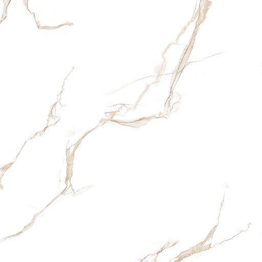 [1151] 1151 - CAR 60x60 CARTONS DE 4 PIECES SOIT:1,44m² (24.90€ m²). Prix du Carton 35.86€