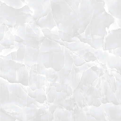 [1202] 1202 - CAR 60x60 CARTONS DE 4 PIECES SOIT:1,44m² (24.90€ m²). Prix du Carton 35.86€ BOLé (2P)
