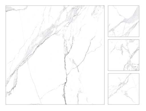 [1068] 1068 CAR 60x60 CARTONS DE 4 PIECES SOIT:1,44m² (24.90€ m²). Prix du Carton 35.86€