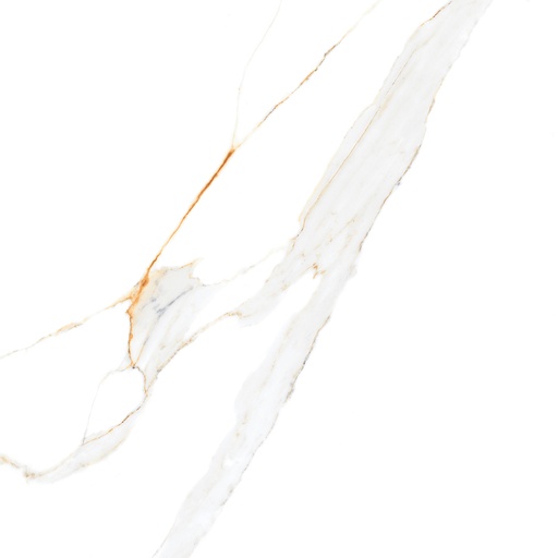[1067] 1067 CAR 60x60 CARTONS DE 4 PIECES SOIT:1,44m² (24.90€ m²). Prix du Carton 35.86€