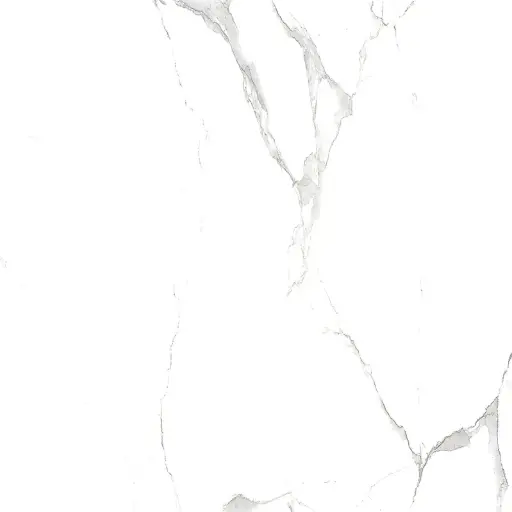 [SATUARIO] SATUARIO - CAR 60x60 CARTONS DE 4 PIECES SOIT:1,44m² (24.90€ m²). Prix du Carton 35.86€