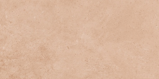 [26303D] 26303D FAIENCES 30X60 CARTONS DE 5PIECES SOIT 0,90M² (21.90€ M²) PRIX EN CARTON 19.71€