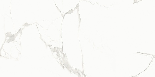 [26295L] 26295L FAIENCES 30X60 CARTONS DE 5PIECES SOIT 0,90M² (21.90€ M²) PRIX EN CARTON 19.71€