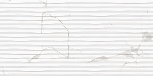 [26295HL] 26295HL FAIENCES 30X60 CARTONS DE 5PIECES SOIT 0,90M² (21.90€ M²) PRIX EN CARTON 19.71€