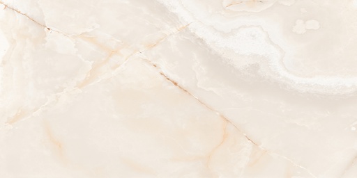 [1300D] 1300D FAIENCES 30X60 CTN DE 0,90M² / 05 PCS - (19,90€ LE M²) PRIX CARTON 17.91