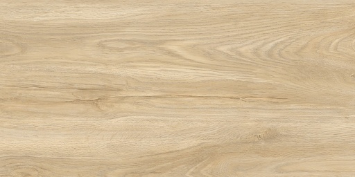 [1445 60X120] 1445 CAR 60X120 CARTONS DE 2 PIECES SOIT 1.44M²