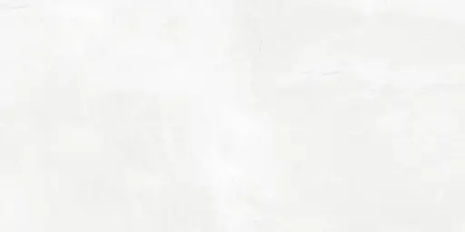 2133LT CAR 30X60 CARTONS DE 5 PIECES SOIT 0.90 M²