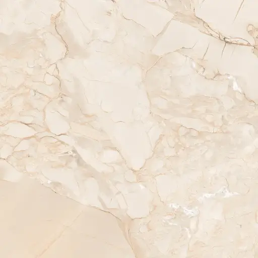 [1097 - 60X60] 1097  - CAR 60x60 - SOL ET MUR CARTONS DE 4 PIECES SOIT:1,44m² (24.90€ m²). Prix du Carton 35.86€