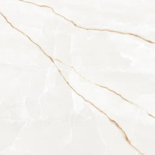 [1077- 60X60] 1077 - CAR 60x60 - SOL ET MUR CARTONS DE 4 PIECES SOIT:1,44m² (24.90€ m²). Prix du Carton 35.86€