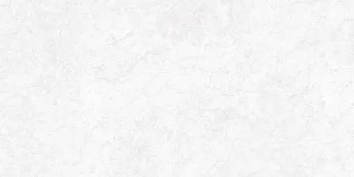 [10017L] 10017L FAIENCES 30X60 CARTONS DE 5PIECES SOIT 0,90M² (21.90€ M²) PRIX EN CARTON 19.71€ TRB 2B17 (85)