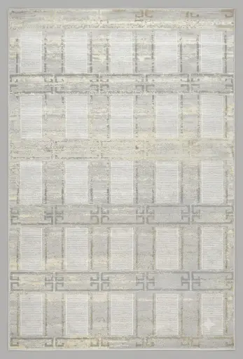 [6MT90800] Eclaire ivoire-Tapis couleur gris clair en dimension 200*290